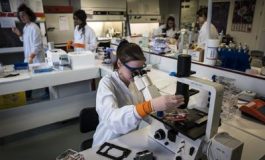 featured 1961515 265x160