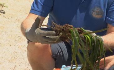 featured 1963388 364x225