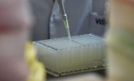 featured 1963438 265x160