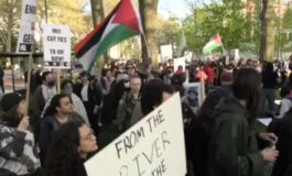 virginia lacrimogeni polizia gaza