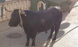 colombia corrida 2027