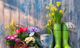 come creare un giardino fiorito