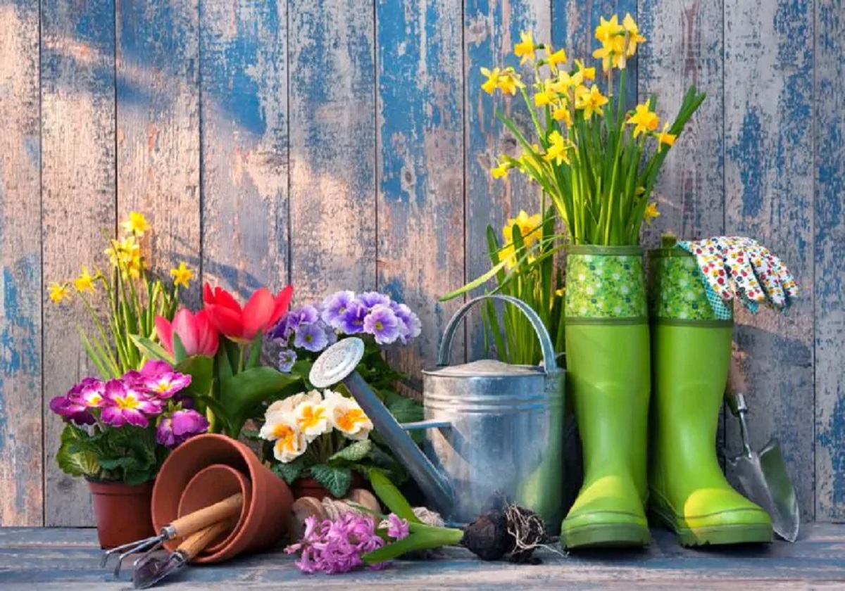 Come creare un giardino fiorito: 5 piante perenni imperdibili