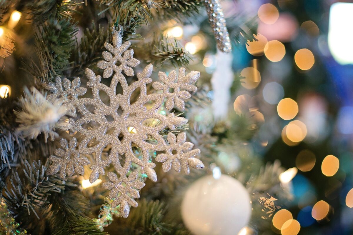 In Piazza di Spagna c'è un albero di Natale: il motivo