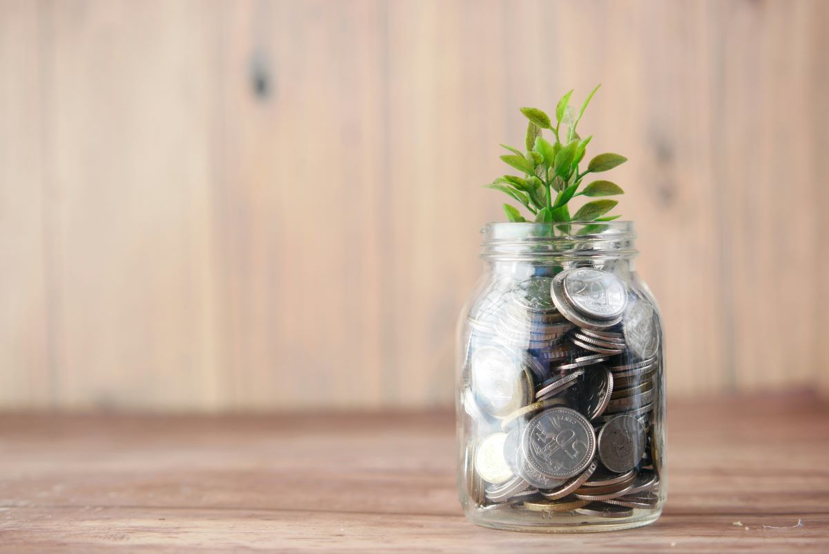 L'interesse per la sostenibilità ambientale nel 2024: una nuova prospettiva di investimento