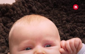 brightcove poster 1967639 364x230