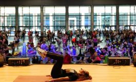 featured 1963818 265x160