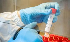 featured 1965530 265x160