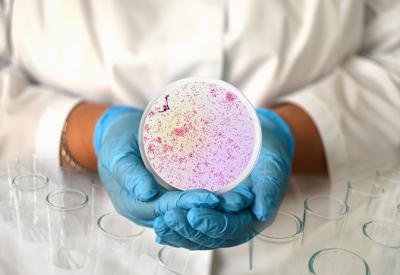 In Europa cresce super gonorrea resistente agli antibiotici, allarme Ecdc