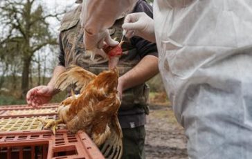 featured 1968970 364x230