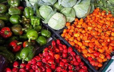 featured 1971331 364x230