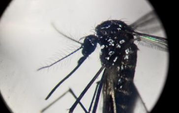 featured 1971343 364x230