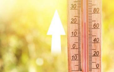 featured 1971345 364x230