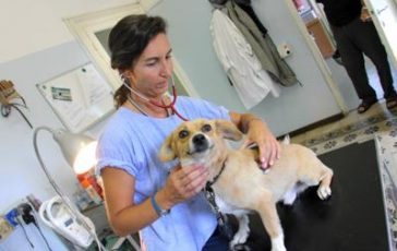 featured 1971347 364x230