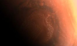 featured 1971433 265x160