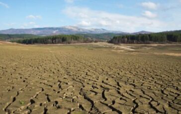 Paura in Texas, giraffa solleva una bambina durante il safari