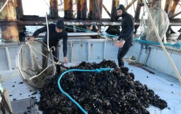 featured 1973096 364x230