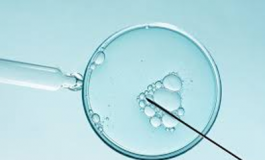 featured 1975012 265x160