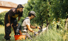 featured 1976117 265x160