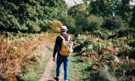 image 5d2b56ea d92c 439c 809e dd34d7241f2e 265x160