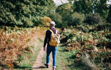 image 5d2b56ea d92c 439c 809e dd34d7241f2e 364x230