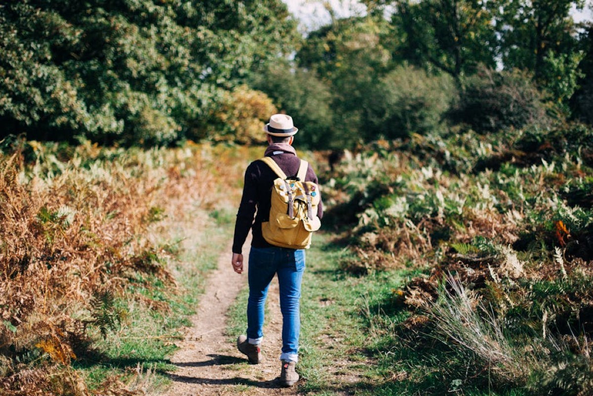Camminare per perdere peso: l'ora migliore