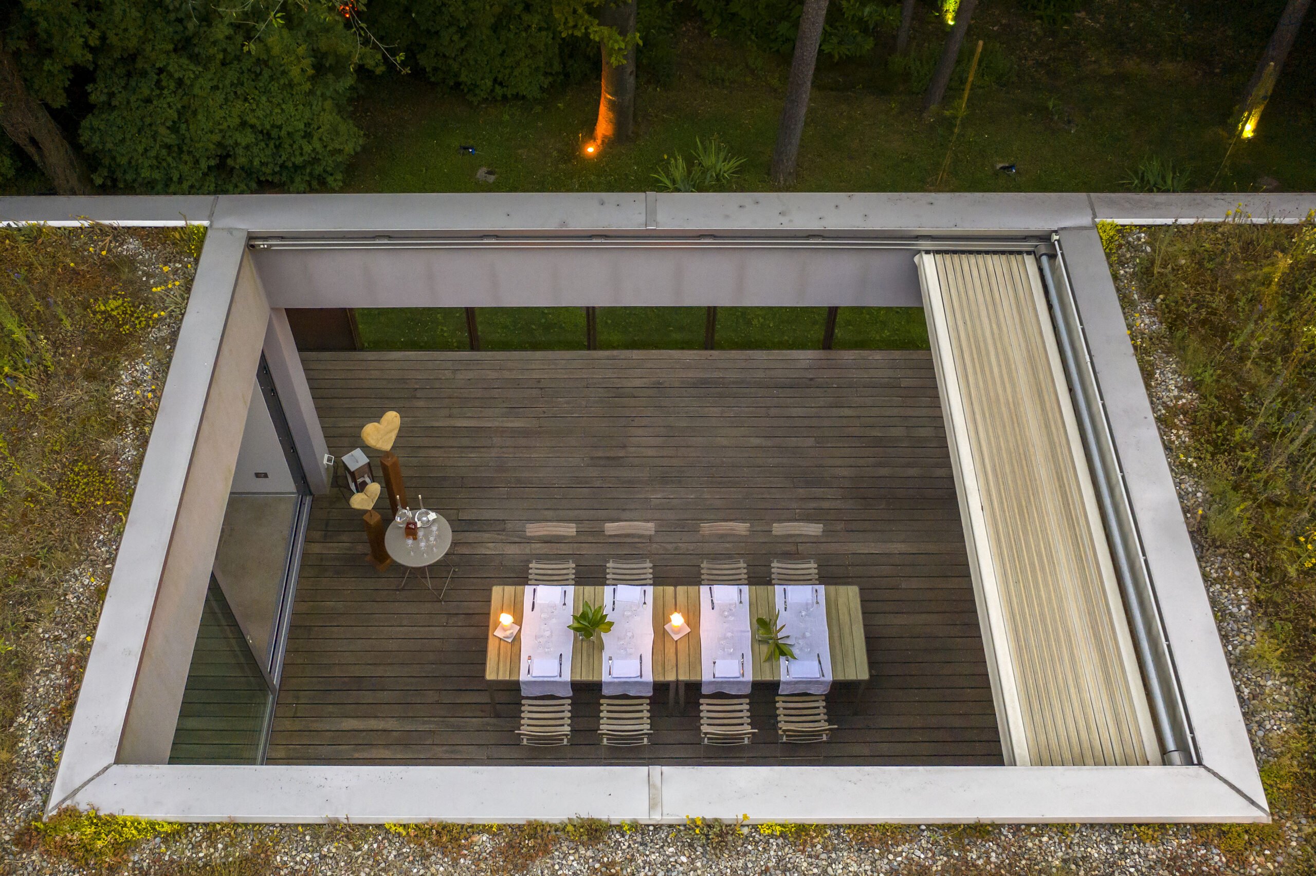 tarantola 15 dji 0141jpg scaled