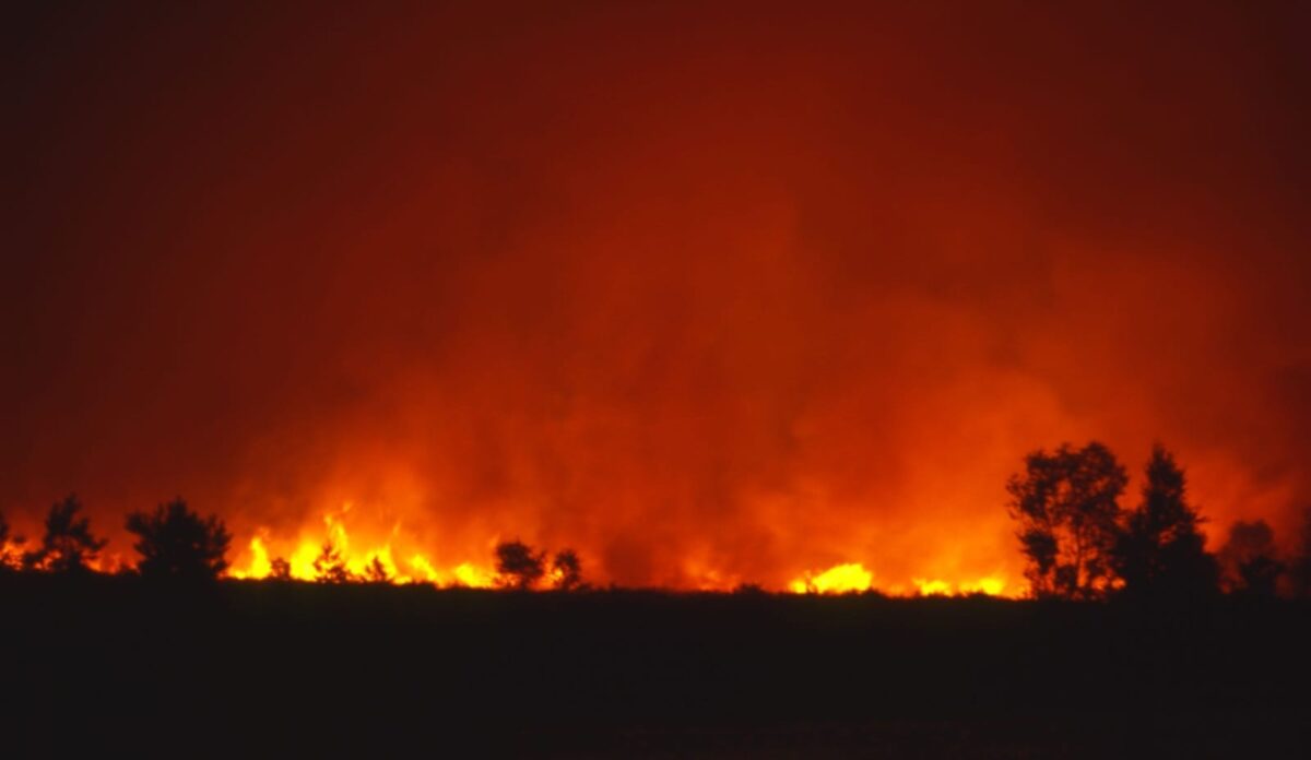 Grecia, incendi fuori controllo: in arrivo aiuti dall'Italia e da altri Paesi Ue