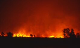 Il rogo, divampato nella serata di ieri, non è stato domato ed è in espansione a causa del vento