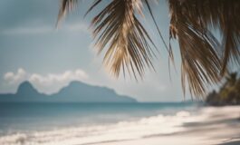 1216x832 04 15 00 41 488835861 265x160