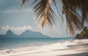 1216x832 04 15 00 41 488835861 364x230