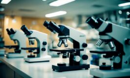 1216x832 06 06 00 37 120960961 265x160