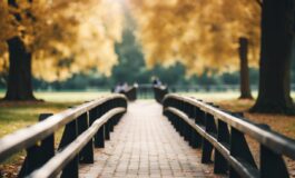 1216x832 06 07 47 12 22157522 265x160