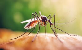 1216x832 07 02 00 38 186554246 265x160