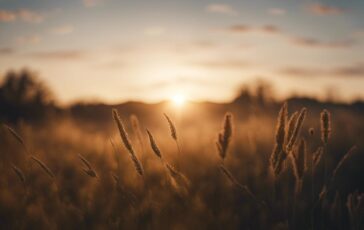 1216x832 08 09 30 34 585727671 364x230