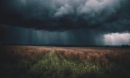 1216x832 08 11 45 35 690387160 265x160