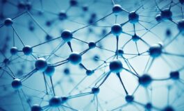 1216x832 08 20 30 46 175303334 265x160