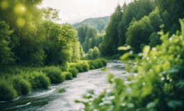 1216x832 08 23 45 36 795715560 265x160