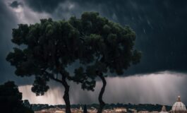 1216x832 10 02 45 30 540182186 265x160