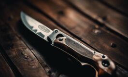 1216x832 10 03 30 48 127929293 265x160