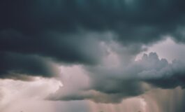 1216x832 10 04 00 37 638490073 265x160