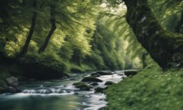 1216x832 10 17 30 36 912687100 265x160