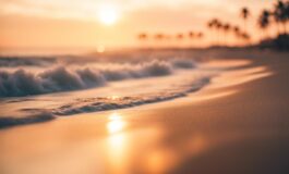 1216x832 11 17 45 46 970774992 265x160