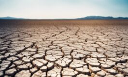 1216x832 11 21 17 01 575452999 265x160