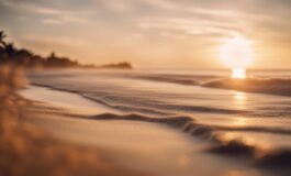 1216x832 12 03 31 51 642935415 265x160