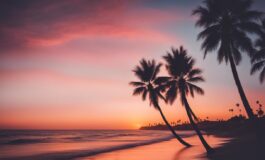 1216x832 12 04 30 58 436996271 265x160