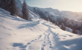 1216x832 14 06 00 40 506284005 265x160