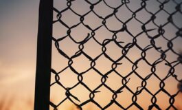 1216x832 14 11 15 36 904524569 265x160