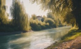 1216x832 15 14 15 31 993937626 265x160