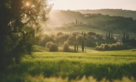 1216x832 15 18 45 41 292091445 265x160